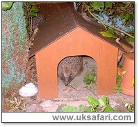 Photo � Copyright 2005 Rosa Foulger