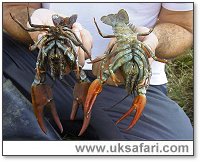 Photo � Copyright 2005 Environment Agency