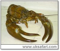 Photo � Copyright 2005 Environment Agency