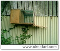 Hack Box - Photo � Copyright 2004 Julie Finnis