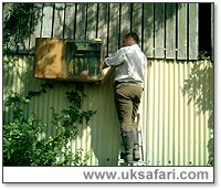 Checking the Owls - Photo � Copyright 2004 Julie Finnis
