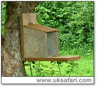 Squirrel Feeder - Photo � Copyright 2004 Gary Bradley