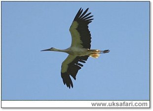 Photo � Copyright 2006 Steve Botham: s.botham@ntlworld.com